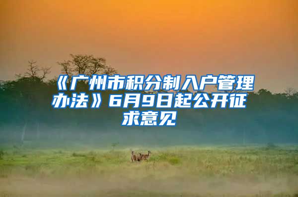 《广州市积分制入户管理办法》6月9日起公开征求意见