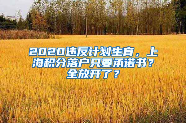 2020违反计划生育,上海积分落户只要承诺书?全放开了?