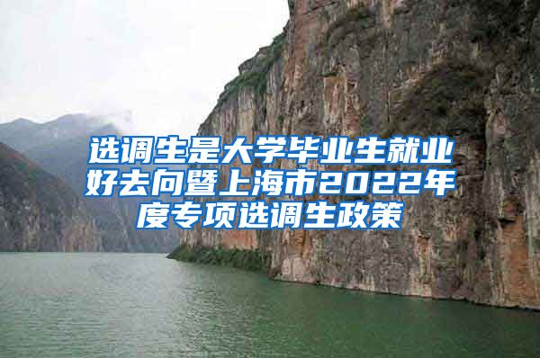 选调生是大学毕业生就业好去向暨上海市2022年度专项选调生政策