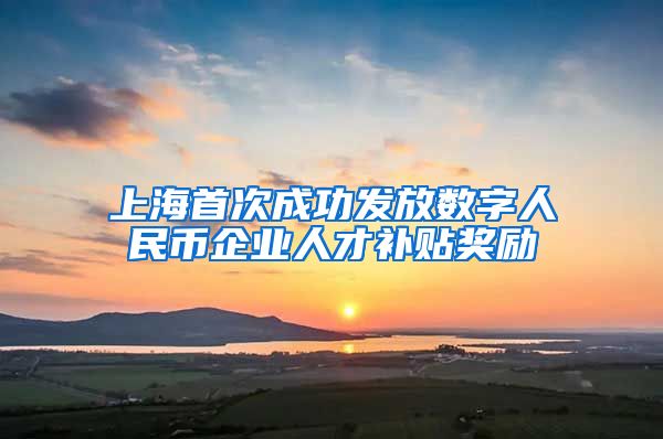 上海首次成功发放数字人民币企业人才补贴奖励
