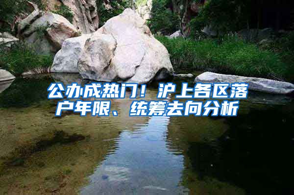 公办成热门！沪上各区落户年限、统筹去向分析