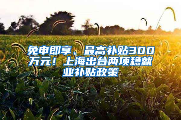 免申即享、最高补贴300万元!上海出台两项稳就业补贴政策