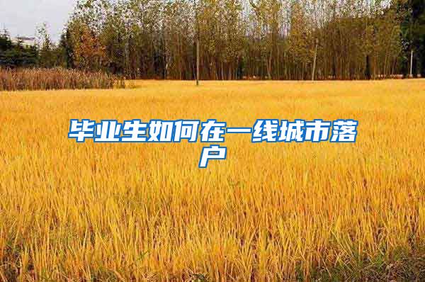 毕业生如何在一线城市落户