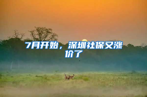 7月开始,深圳社保又涨价了