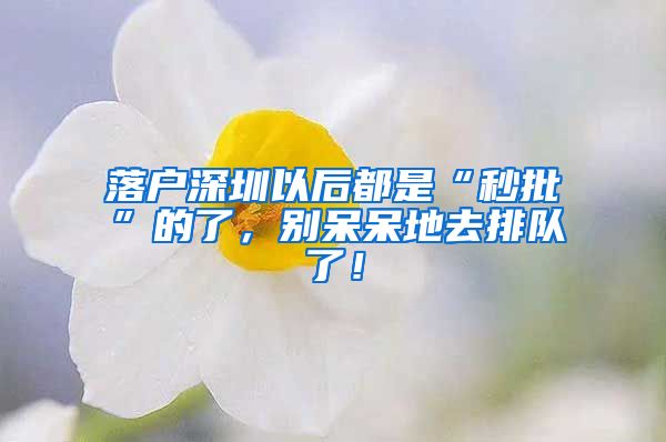 落户深圳以后都是“秒批”的了，别呆呆地去排队了！