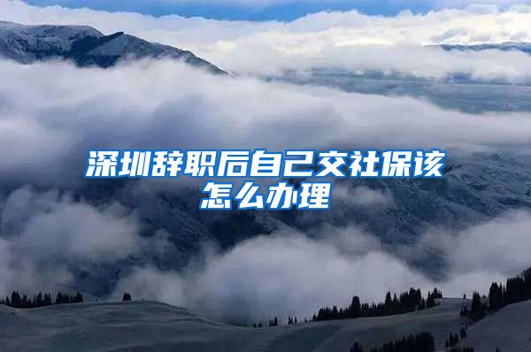 深圳辞职后自己交社保该怎么办理