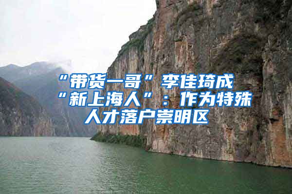 “带货一哥”李佳琦成“新上海人”:作为特殊人才落户崇明区