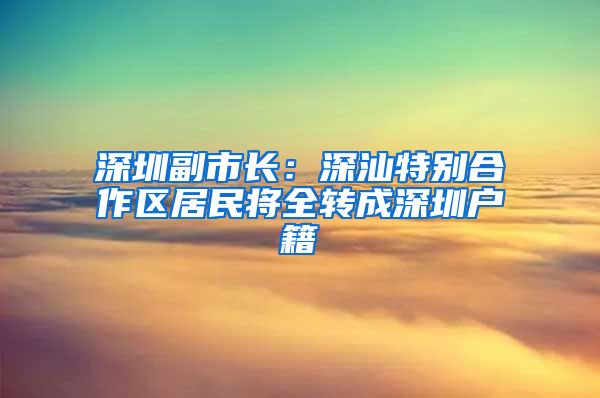 深圳副市长:深汕特别合作区居民将全转成深圳户籍