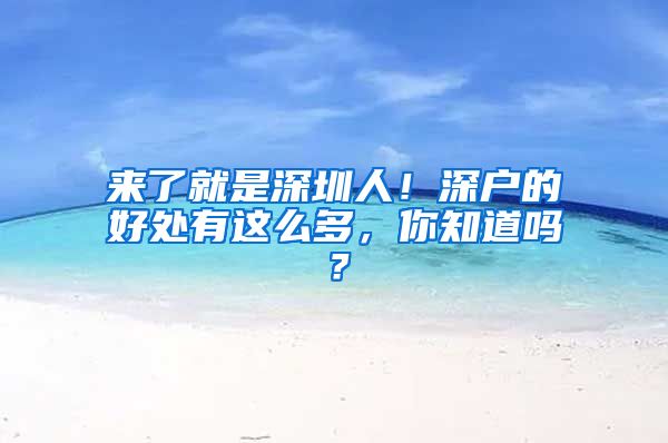 来了就是深圳人！深户的好处有这么多，你知道吗？