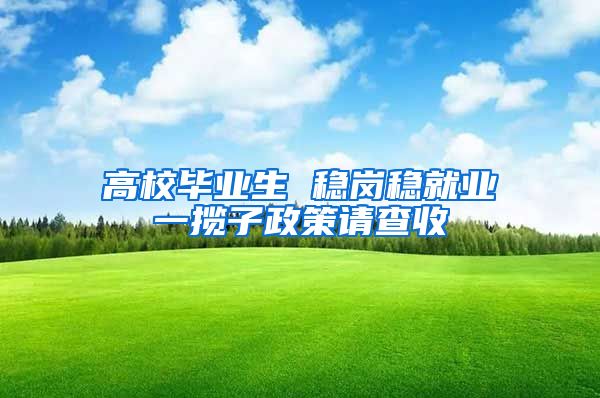 高校毕业生 稳岗稳就业一揽子政策请查收