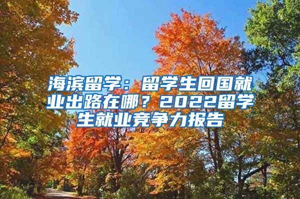 海滨留学：留学生回国就业出路在哪？2022留学生就业竞争力报告