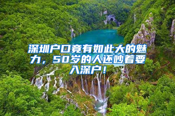 深圳户口竟有如此大的魅力,50岁的人还吵着要入深户!