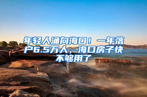 年轻人涌向海口！一年落户6.5万人，海口房子快不够用了