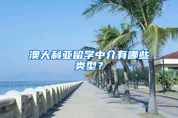 澳大利亚留学中介有哪些类型?