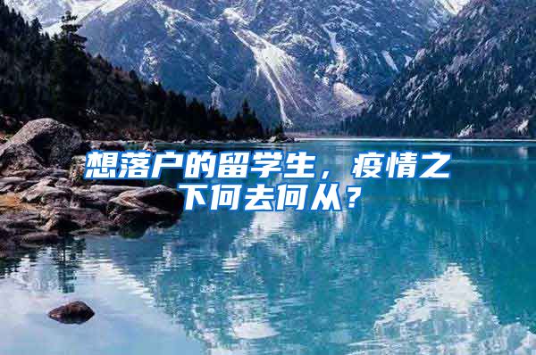 想落户的留学生，疫情之下何去何从？