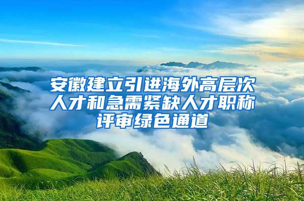 安徽建立引进海外高层次人才和急需紧缺人才职称评审绿色通道