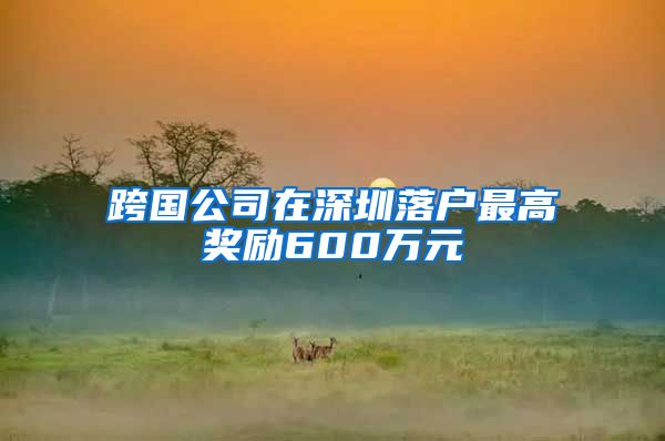 跨国公司在深圳落户最高奖励600万元