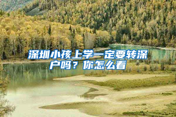 深圳小孩上学一定要转深户吗?你怎么看