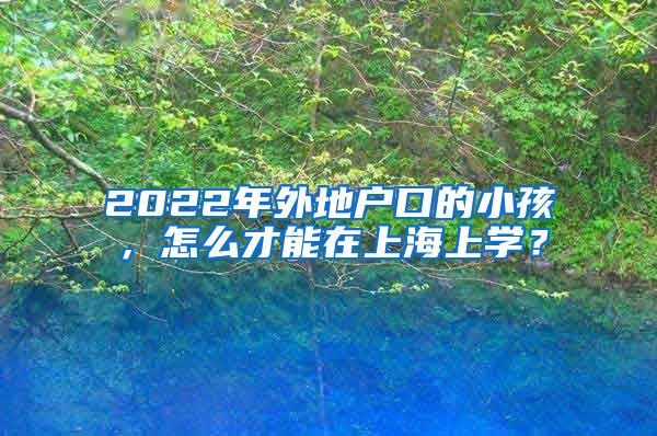 2022年外地户口的小孩，怎么才能在上海上学？