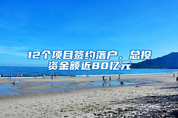 12个项目签约落户，总投资金额近80亿元