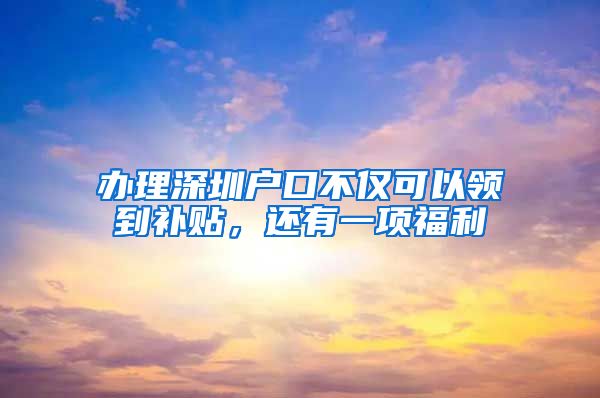 办理深圳户口不仅可以领到补贴,还有一项福利