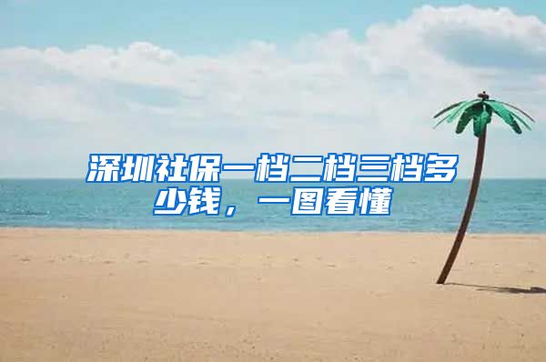 深圳社保一档二档三档多少钱,一图看懂