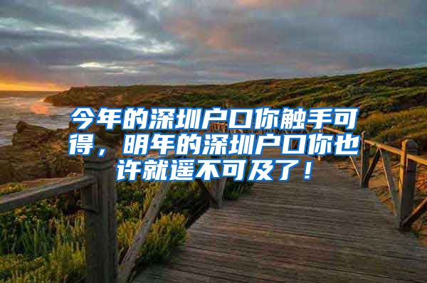 今年的深圳户口你触手可得,明年的深圳户口你也许就遥不可及了!
