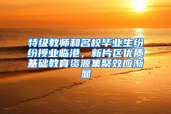 特级教师和名校毕业生纷纷授业临港，新片区优质基础教育资源集聚效应渐显