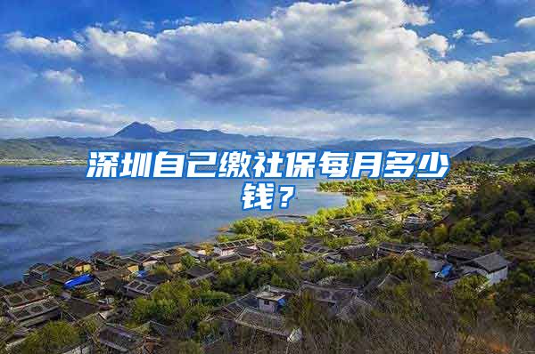 深圳自己缴社保每月多少钱?