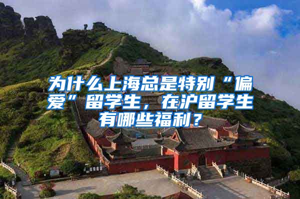 为什么上海总是特别“偏爱”留学生，在沪留学生有哪些福利？