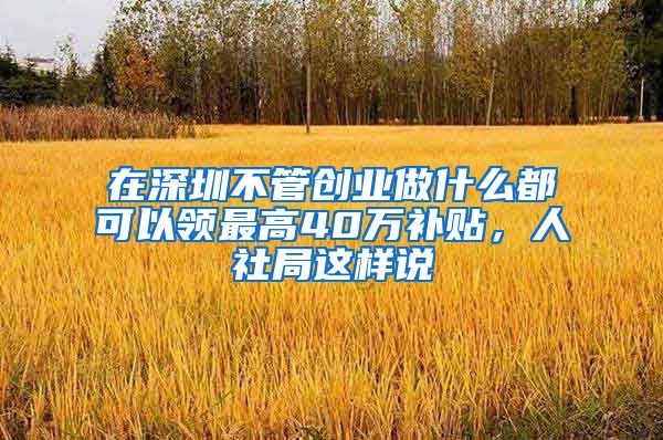 在深圳不管创业做什么都可以领最高40万补贴,人社局这样说