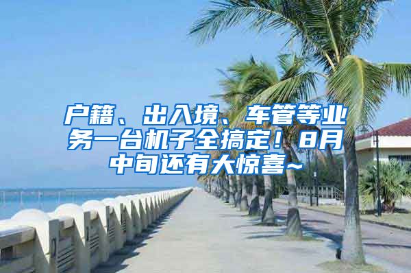户籍、出入境、车管等业务一台机子全搞定！8月中旬还有大惊喜~
