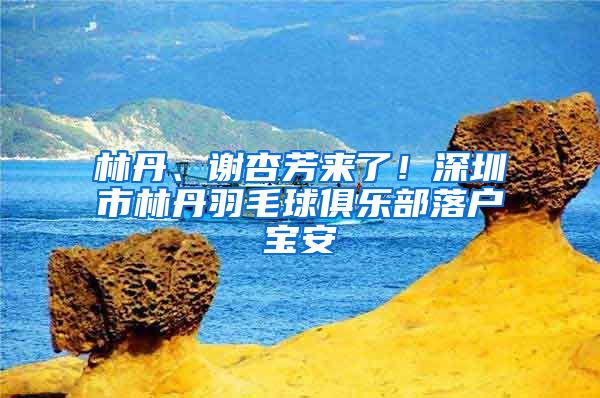 林丹、谢杏芳来了！深圳市林丹羽毛球俱乐部落户宝安
