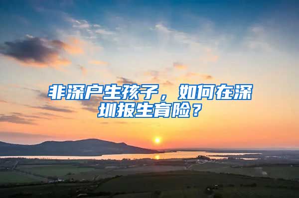 非深户生孩子,如何在深圳报生育险?