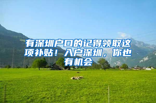 有深圳户口的记得领取这项补贴！入户深圳，你也有机会