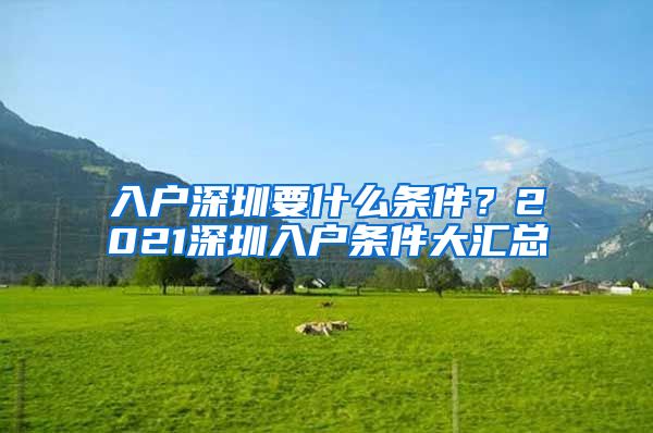 入户深圳要什么条件?2021深圳入户条件大汇总