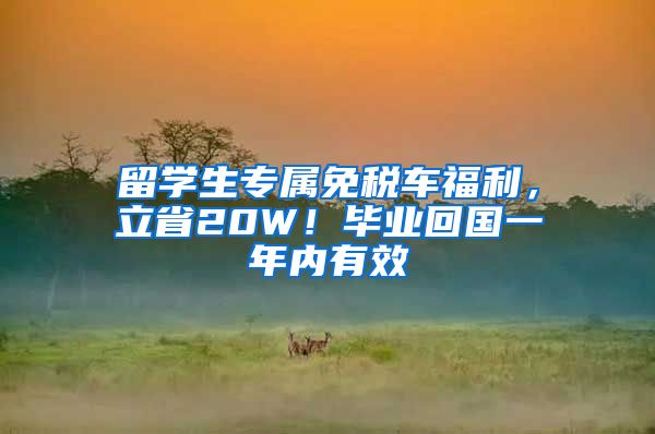 留学生专属免税车福利，立省20W！毕业回国一年内有效
