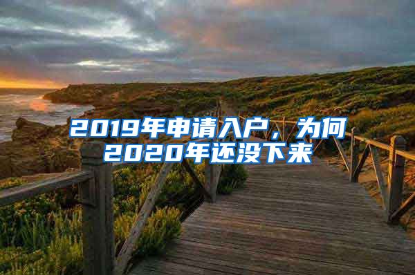 2019年申请入户,为何2020年还没下来