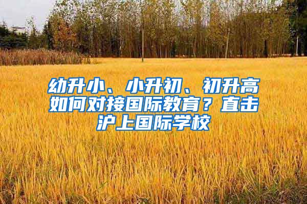 幼升小、小升初、初升高如何对接国际教育？直击沪上国际学校
