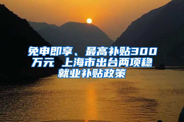 免申即享、最高补贴300万元 上海市出台两项稳就业补贴政策