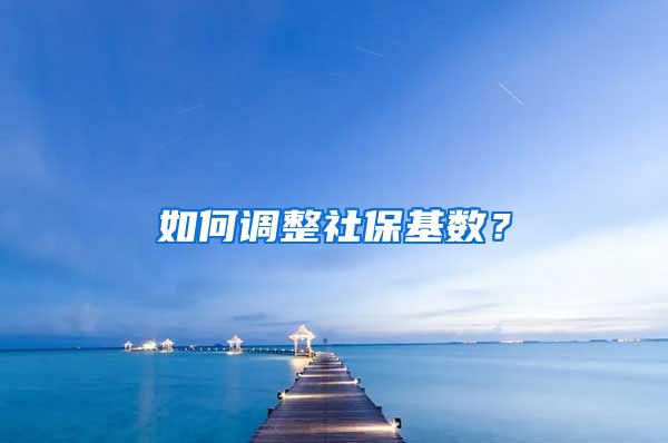 如何调整社保基数?