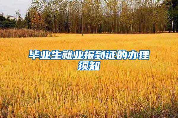 毕业生就业报到证的办理须知