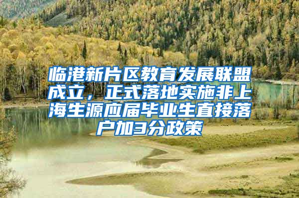 临港新片区教育发展联盟成立，正式落地实施非上海生源应届毕业生直接落户加3分政策