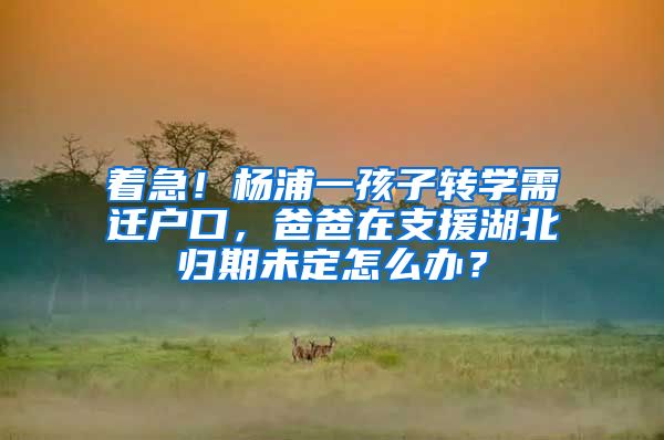着急!杨浦一孩子转学需迁户口,爸爸在支援湖北归期未定怎么办?