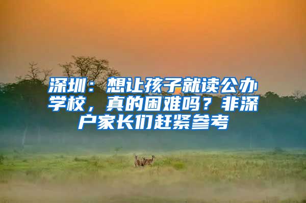 深圳：想让孩子就读公办学校，真的困难吗？非深户家长们赶紧参考