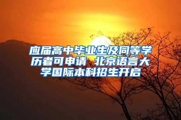应届高中毕业生及同等学历者可申请 北京语言大学国际本科招生开启