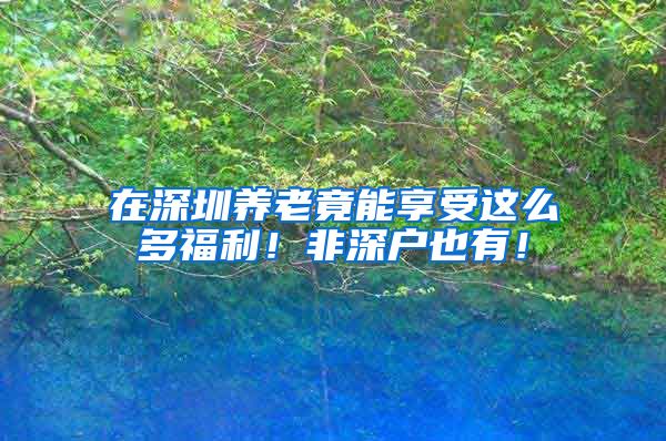 在深圳养老竟能享受这么多福利！非深户也有！