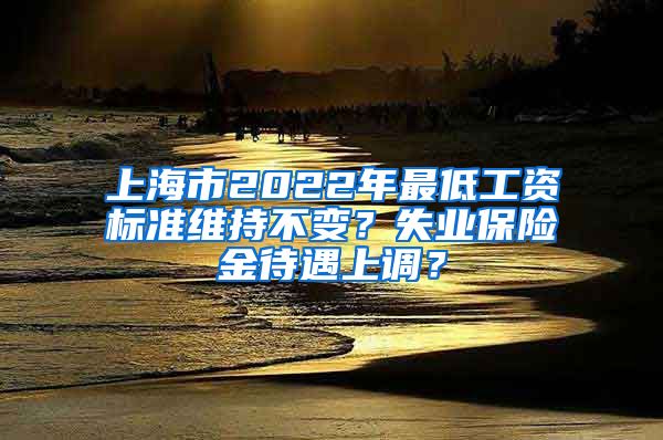 上海市2022年最低工资标准维持不变？失业保险金待遇上调？