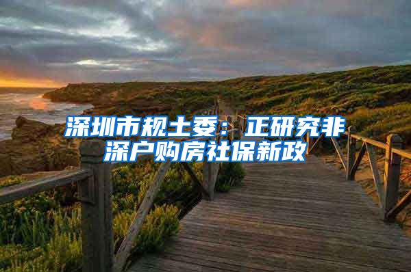 深圳市规土委:正研究非深户购房社保新政
