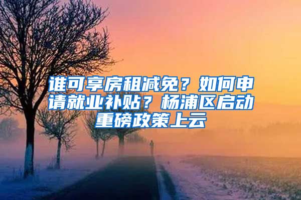 谁可享房租减免？如何申请就业补贴？杨浦区启动重磅政策上云